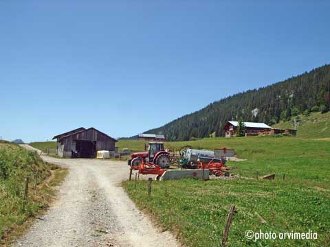 tracteur cuve à lisier, nurserie pour les veaux