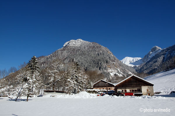 chat savoyard le chat sur une murette proche de l'église